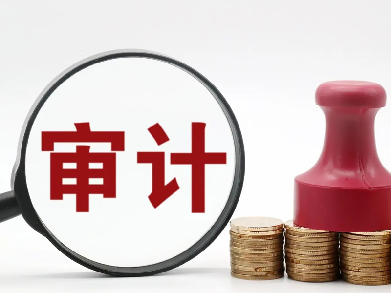 企业年审指南：准备资料、步骤与重要性解析